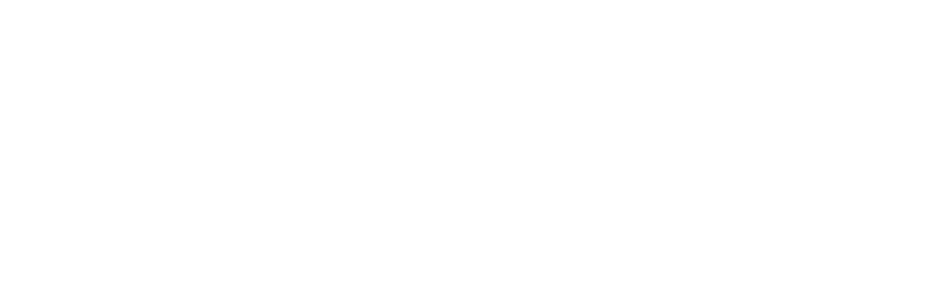  Electrochromic Coating Solution/Ink