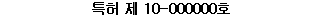 특허 제 10-000000호